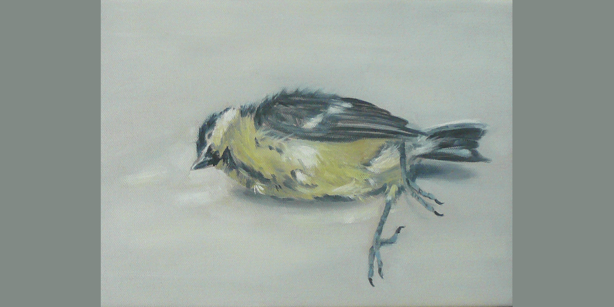 Sleeping Bird
