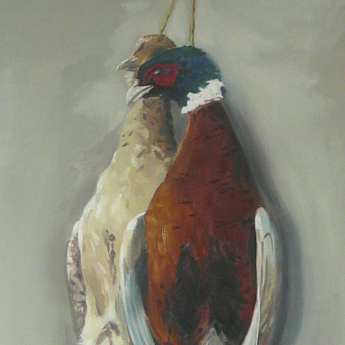 pheasants detail
